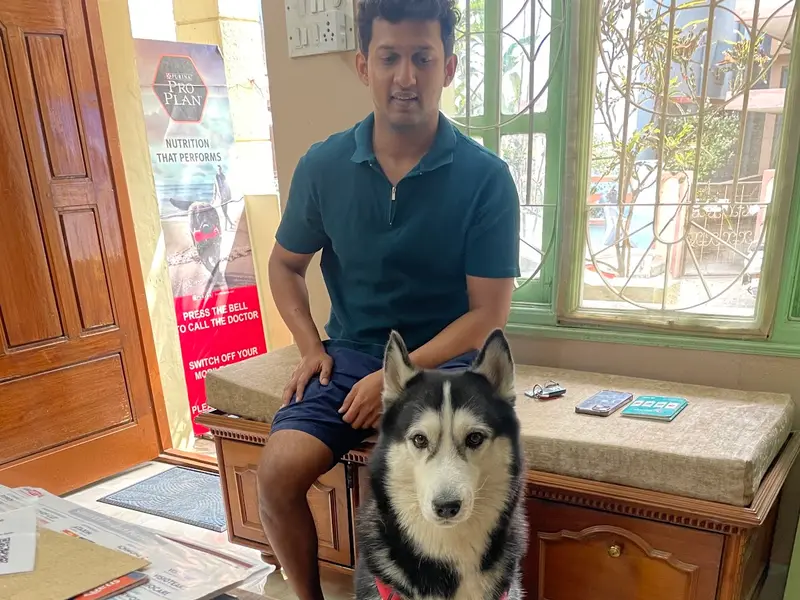 Vijay Veterinary Clinic ವಿಜಯ್ ವೆಟರ್ನರಿ ಕ್ಲಿನಿಕ್, photo 4