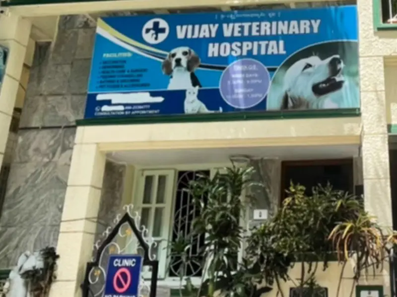 Vijay Veterinary Clinic ವಿಜಯ್ ವೆಟರ್ನರಿ ಕ್ಲಿನಿಕ್, photo 5