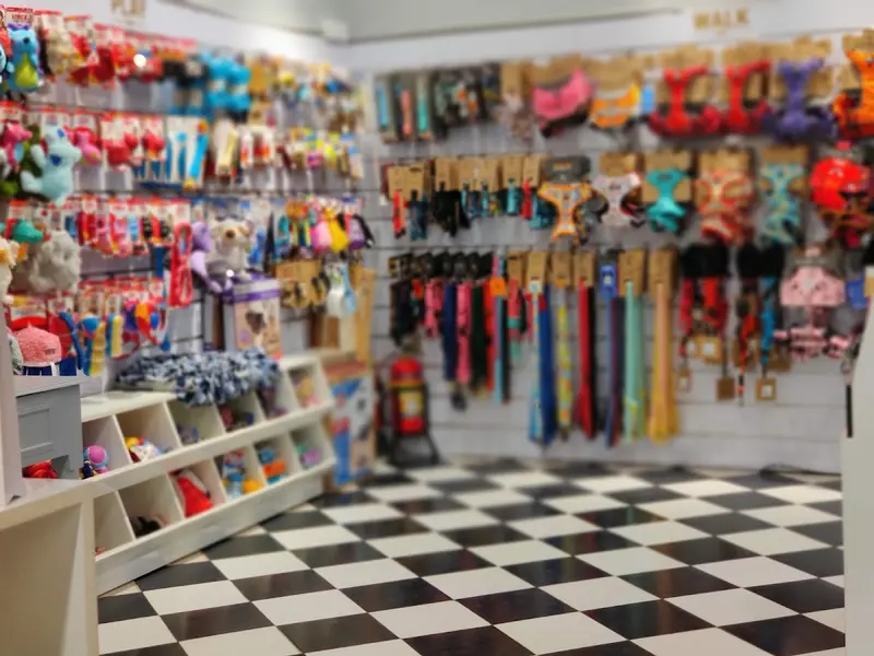 Heads Up For Tails Pet Store & Spa, photo 4