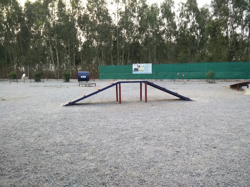 Petboro Pet Resort and Kennels, photo 3