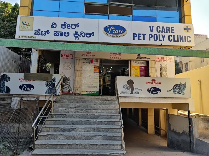 V Care Pet Polyclinic, photo 3