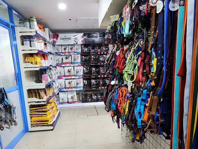 V Care Pet Polyclinic, photo 5