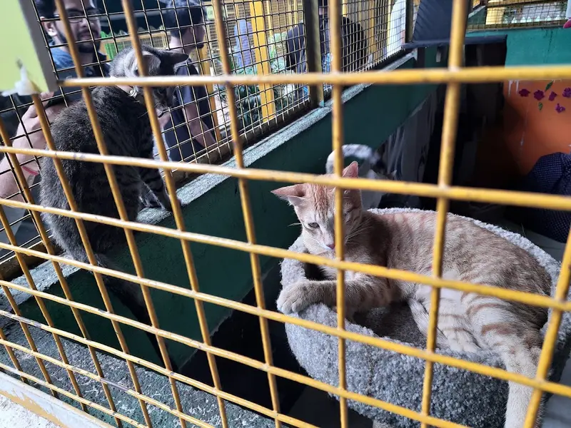 Charlie's Animal Rescue Centre (CARE), photo 2