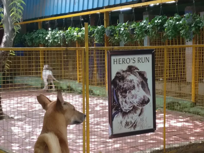Charlie's Animal Rescue Centre (CARE), photo 4