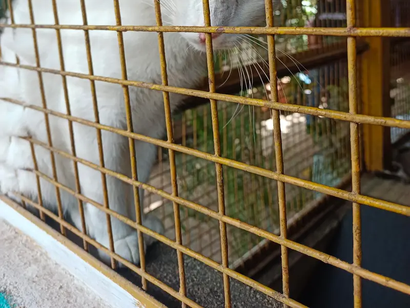Charlie's Animal Rescue Centre (CARE), photo 5