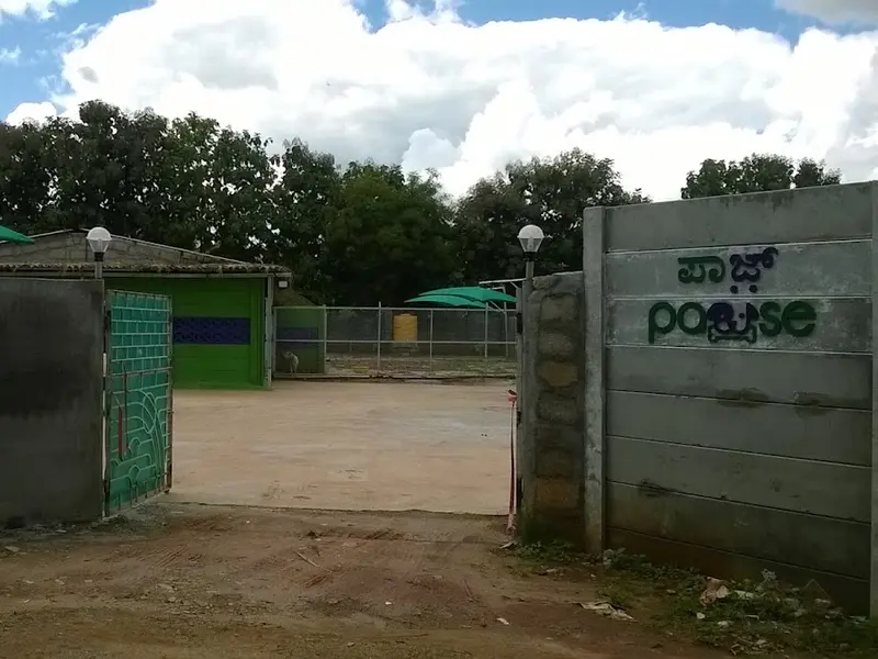 Play Pet Boarding, photo 3