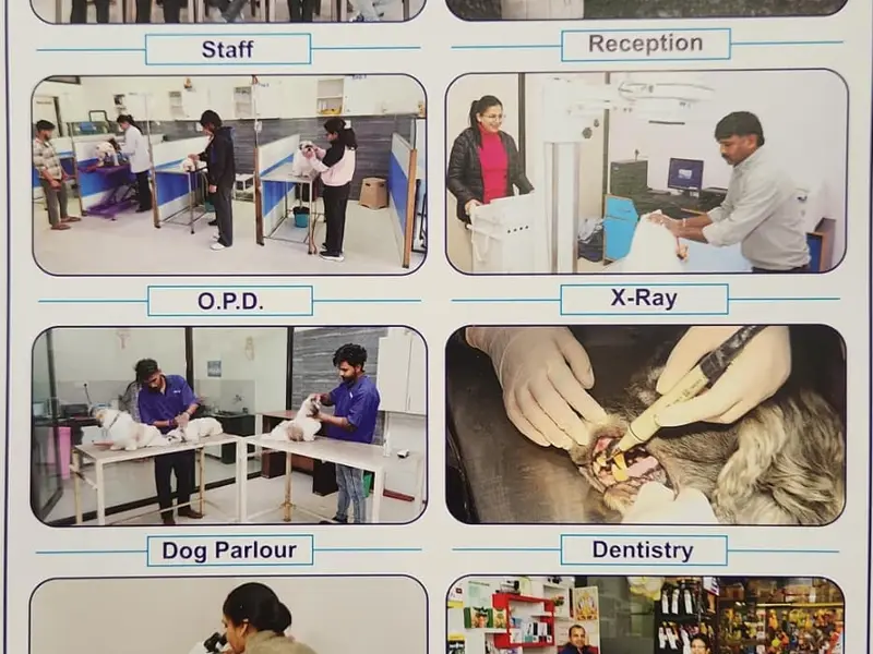 Dr. Singla's Pet Centre, photo 2