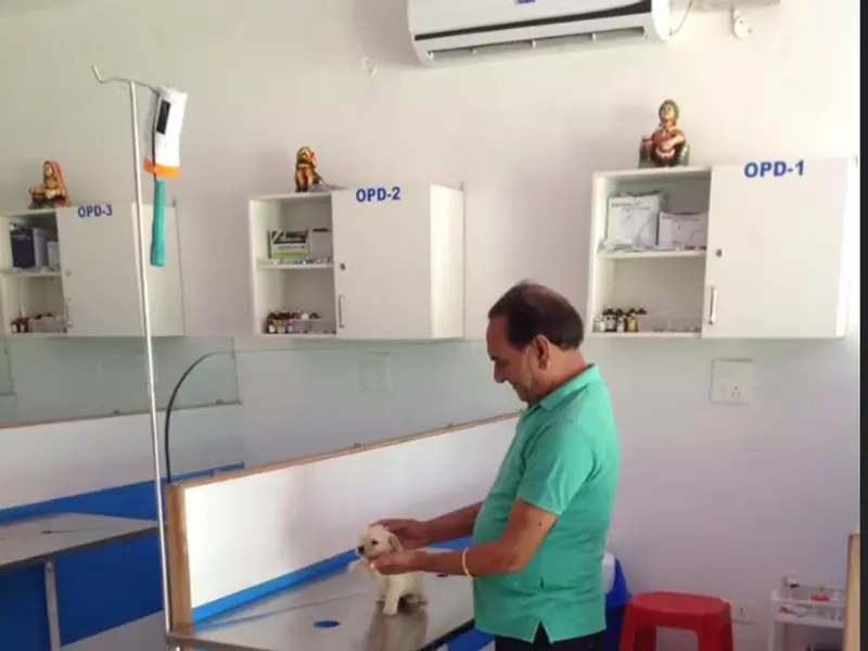 Dr. Singla's Pet Centre, photo 3