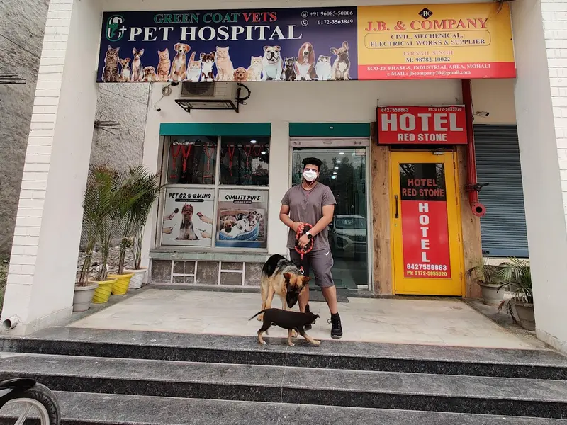 GREENCOAT VETS, photo 2