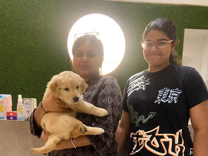 Tri-City Kennels-Pet Hotel, 24/7 Pet Hospital,Day Care & Pet Spa/Grooming Centre, photo 3