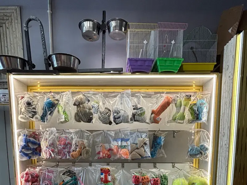 Pets & Family -Pet Products & Pet grooming Kharar/ Pet accessories in Kharar, photo 2