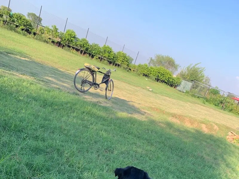 petsADDA- Dog Hostel | Dog Boarding | Dog Cabs, photo 5