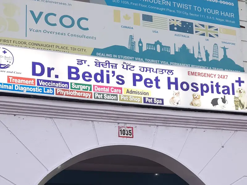 Dr. Bedi's Pet Hospital in Mohali - Veterinary Doctor Near Me | Animal Hospital, photo 2