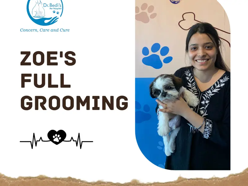 Dr. Bedi's Pet Hospital in Mohali - Veterinary Doctor Near Me | Animal Hospital, photo 3