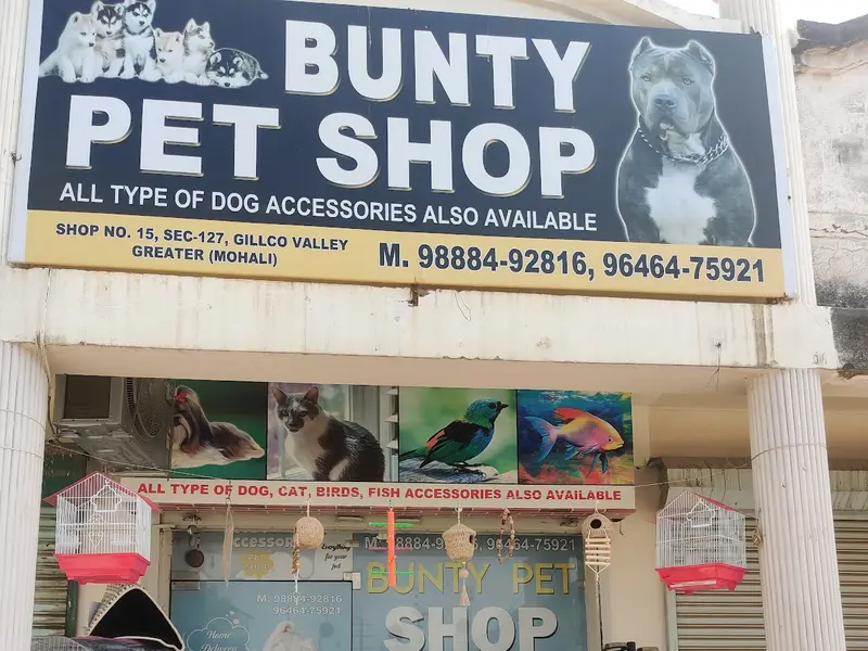 Bunty pet shop