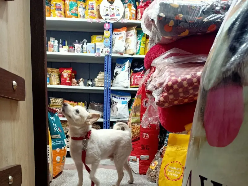 Animal kingdom the Pet Store, best pet store, photo 2