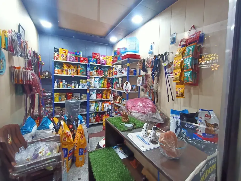 Animal kingdom the Pet Store, best pet store, photo 3