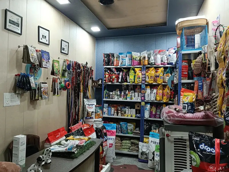 Animal kingdom the Pet Store, best pet store, photo 5