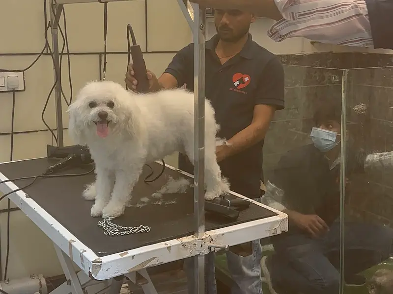 My Pets Mart - Best Pet Shop and Pet Groomers,Pet Pharmacy in Chandigarh | Panchkula| Mohali, photo 4