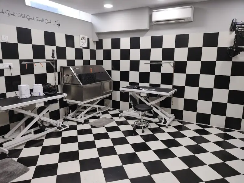 Heads Up For Tails Pet Store & Spa - Sector 22B, Chandigarh, photo 4