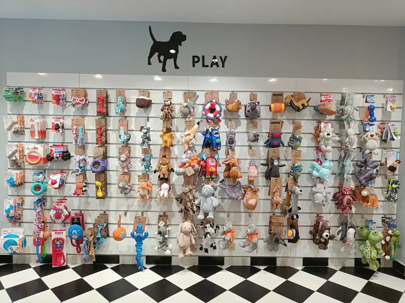 Heads Up For Tails Pet Store & Spa - Sector 22B, Chandigarh, photo 5