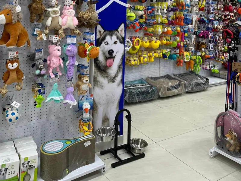 JUSTDOGS | Sector 22B, Chandigarh - Pet Store & Spa, photo 2