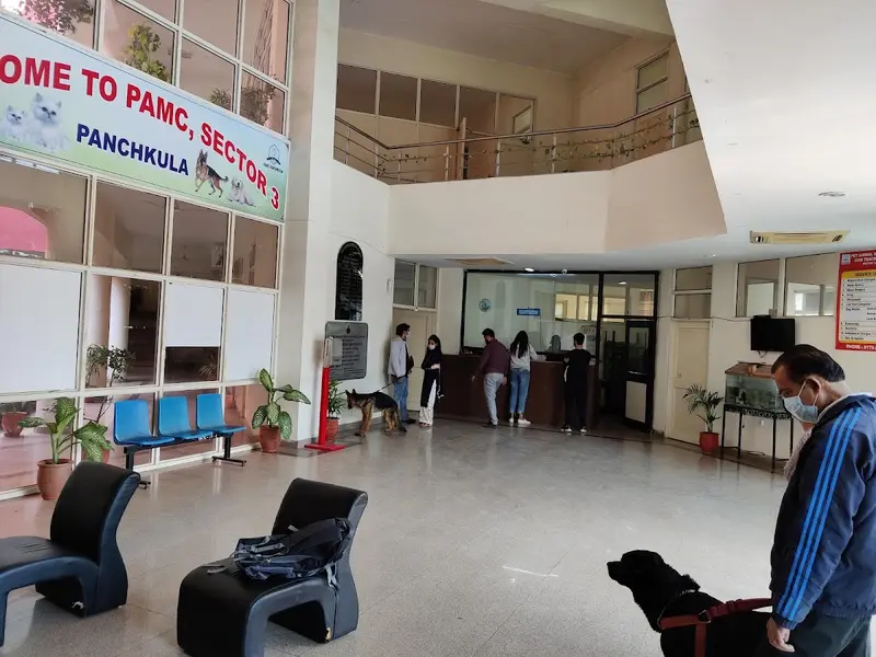 Pet Animal Medical Centre, photo 5