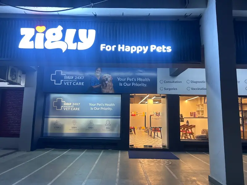 Zigly Pet, photo 3
