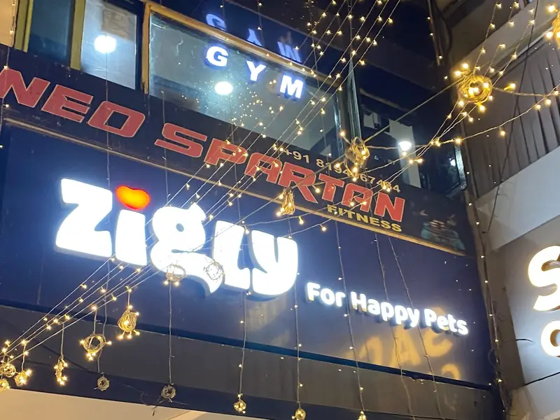 Zigly Pet, photo 5