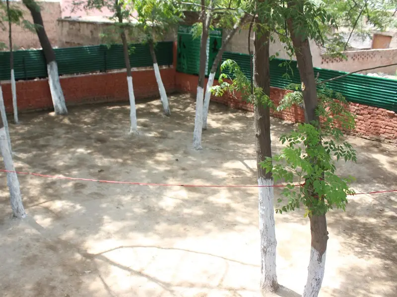 Dog Training Centre - (chandigarh/Mohali), photo 3