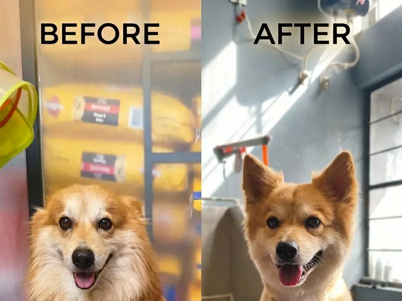 Barko The Pet Store, photo 4