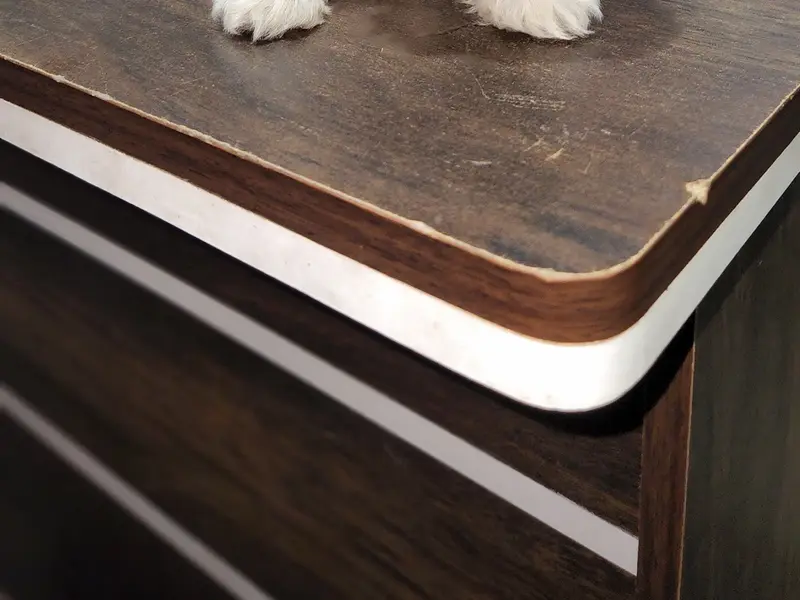 DOG PETS BY | Pets Sale & Purchase | Pet shop in Chandigarh, photo 3