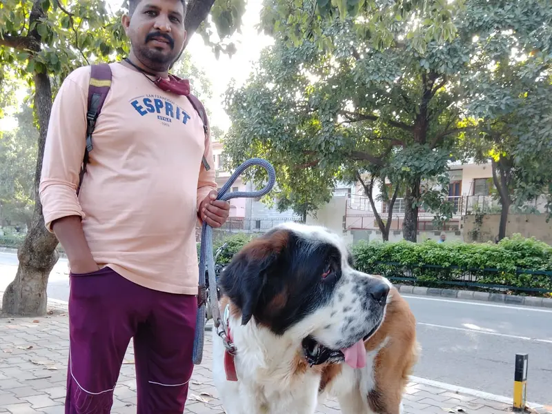 Pet Solution - Dog Training Center Chandigarh | Mohali, photo 2