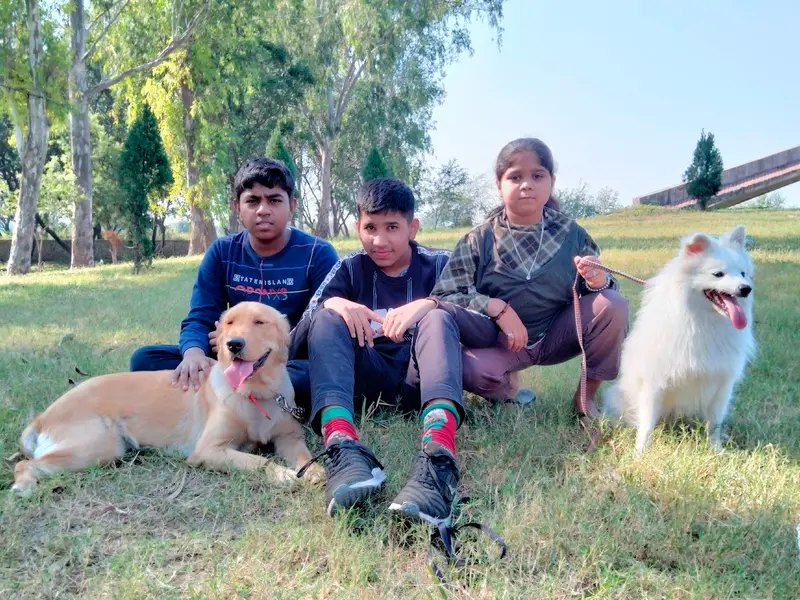 Pet Solution - Dog Training Center Chandigarh | Mohali, photo 3