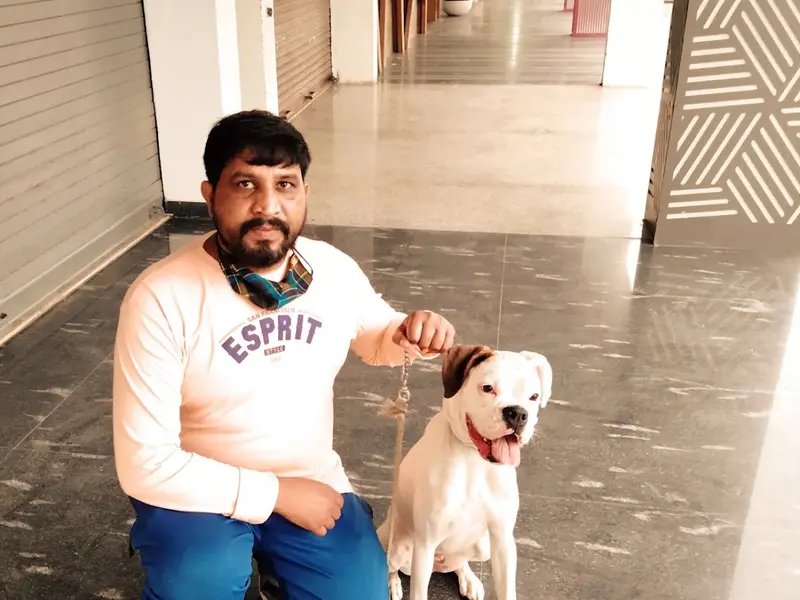 Pet Solution - Dog Training Center Chandigarh | Mohali, photo 4