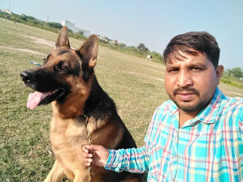Pet Solution - Dog Training Center Chandigarh | Mohali, photo 5