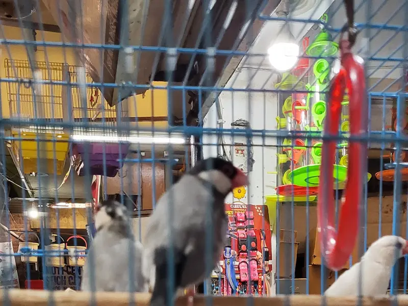 All Pets Stores n Farm, photo 2