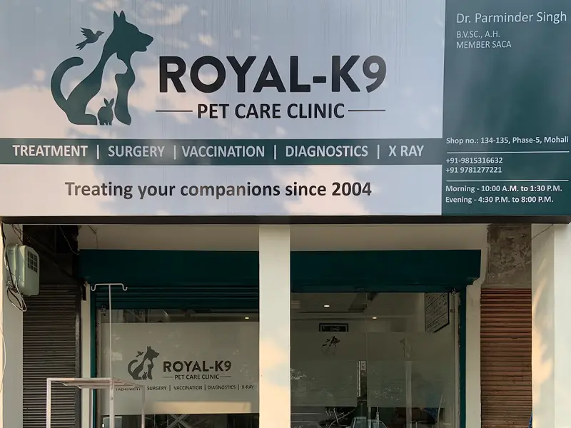 Royal K9, photo 3