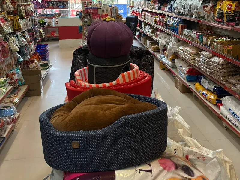 PETS & US, photo 5