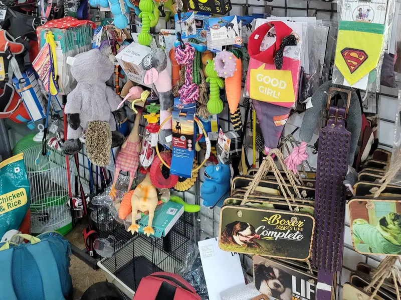 JUSTDOGS | Mohali, Punjab, photo 3