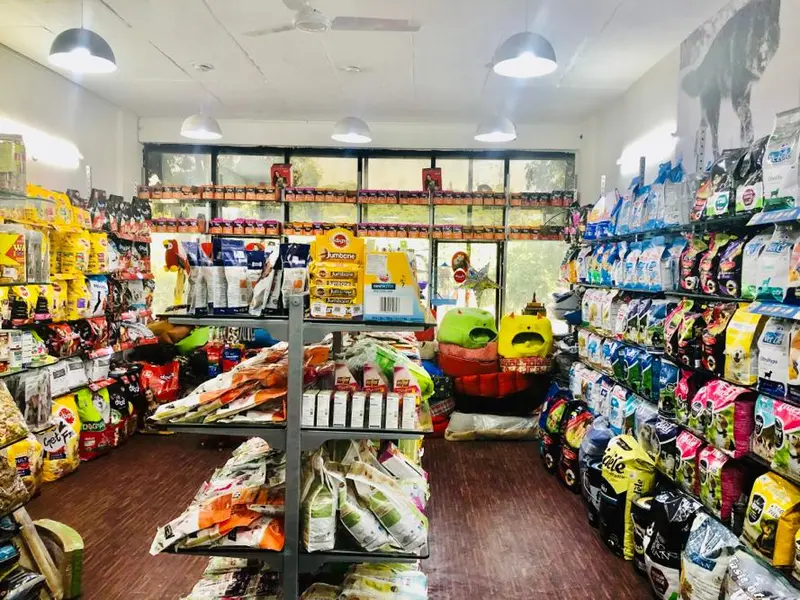 JUSTDOGS | Mohali, Punjab, photo 5