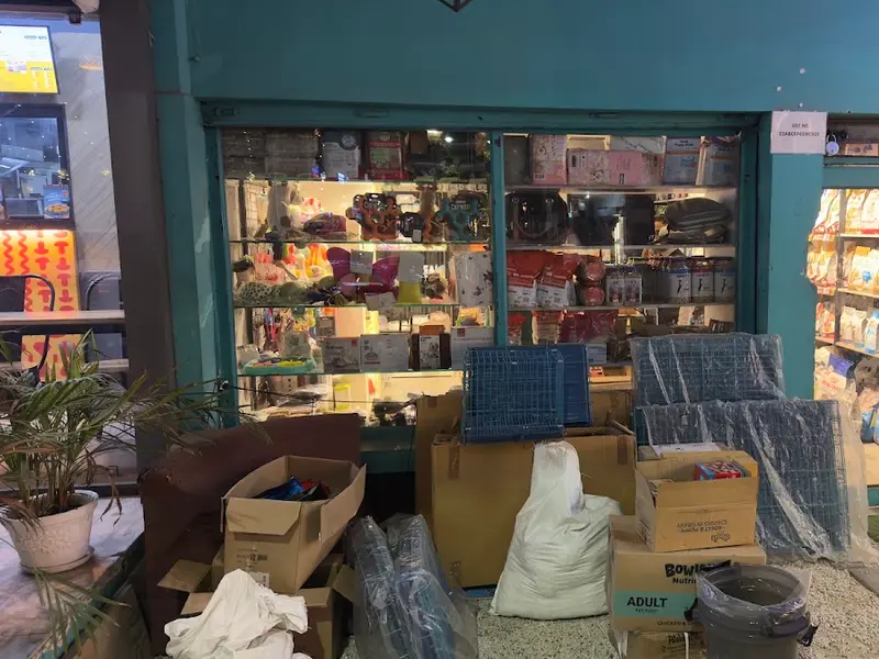 Pet Houz, photo 5