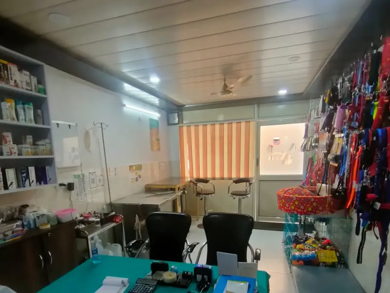 Pawsitive Steps Pet Care, photo 4
