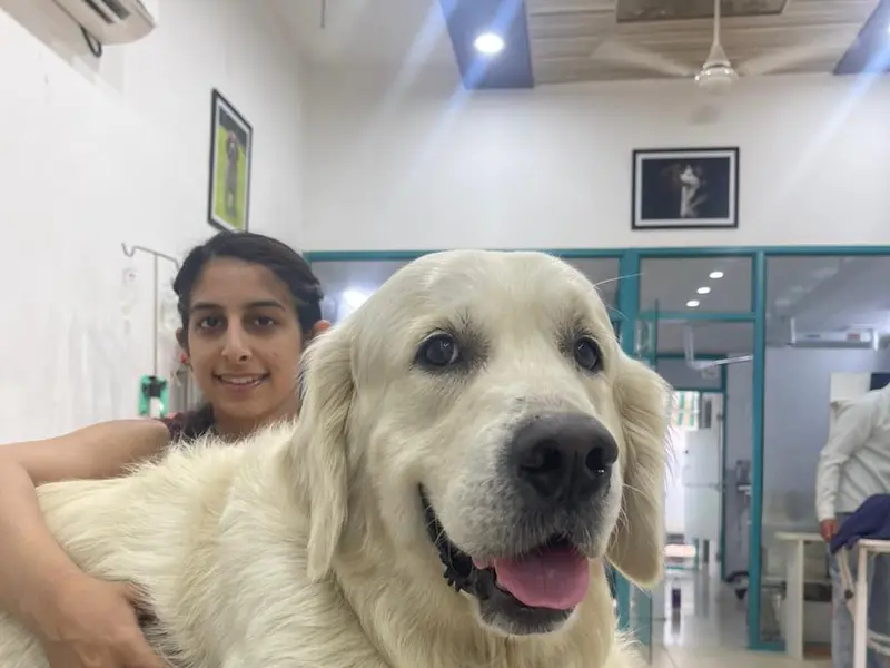 LakeSyde Veterinary Clinic, photo 2