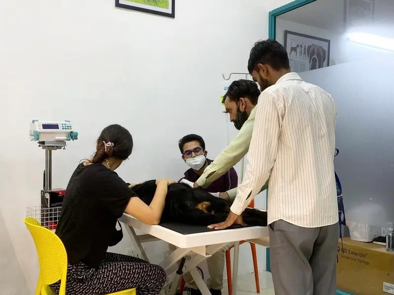 LakeSyde Veterinary Clinic, photo 3