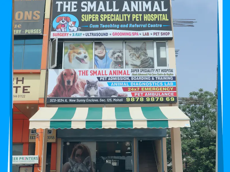 The Small Animal Pet Hospital, photo 2