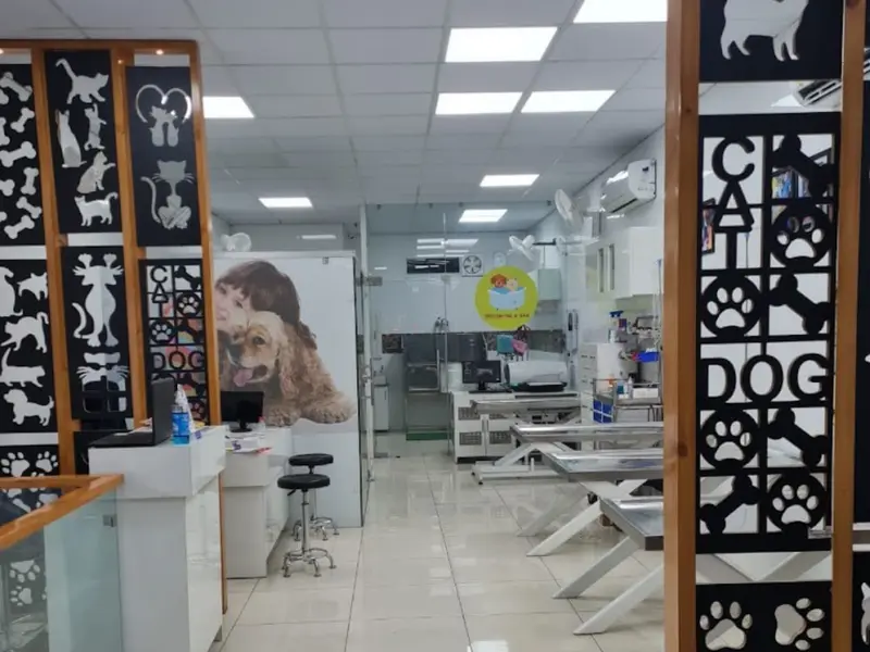 The Small Animal Pet Hospital, photo 4
