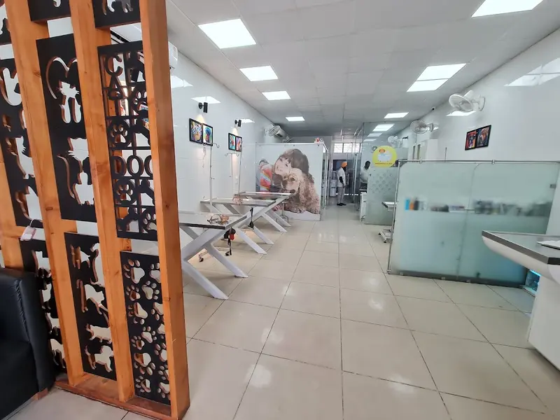 The Small Animal Pet Hospital, photo 5