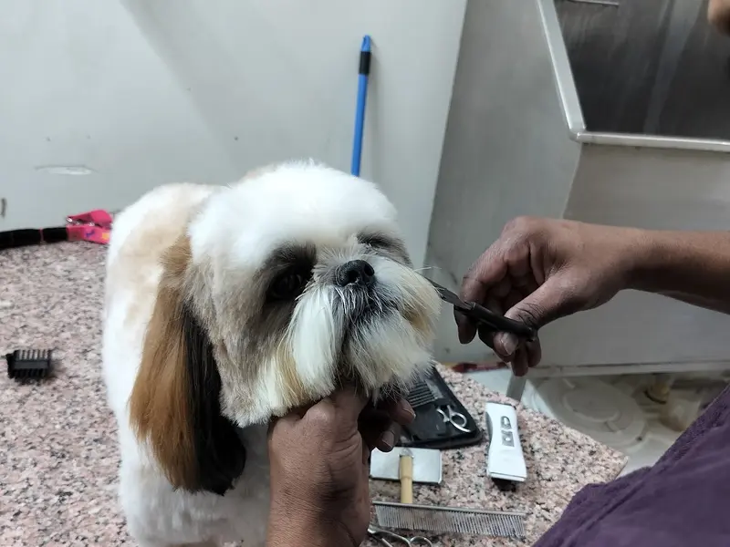 UNIQUE PET STORE, photo 2