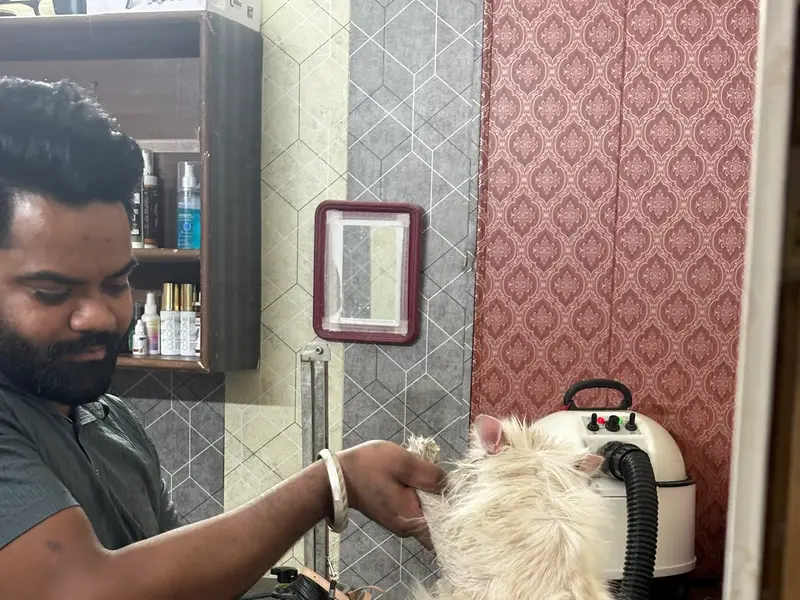 UNIQUE PET STORE, photo 4